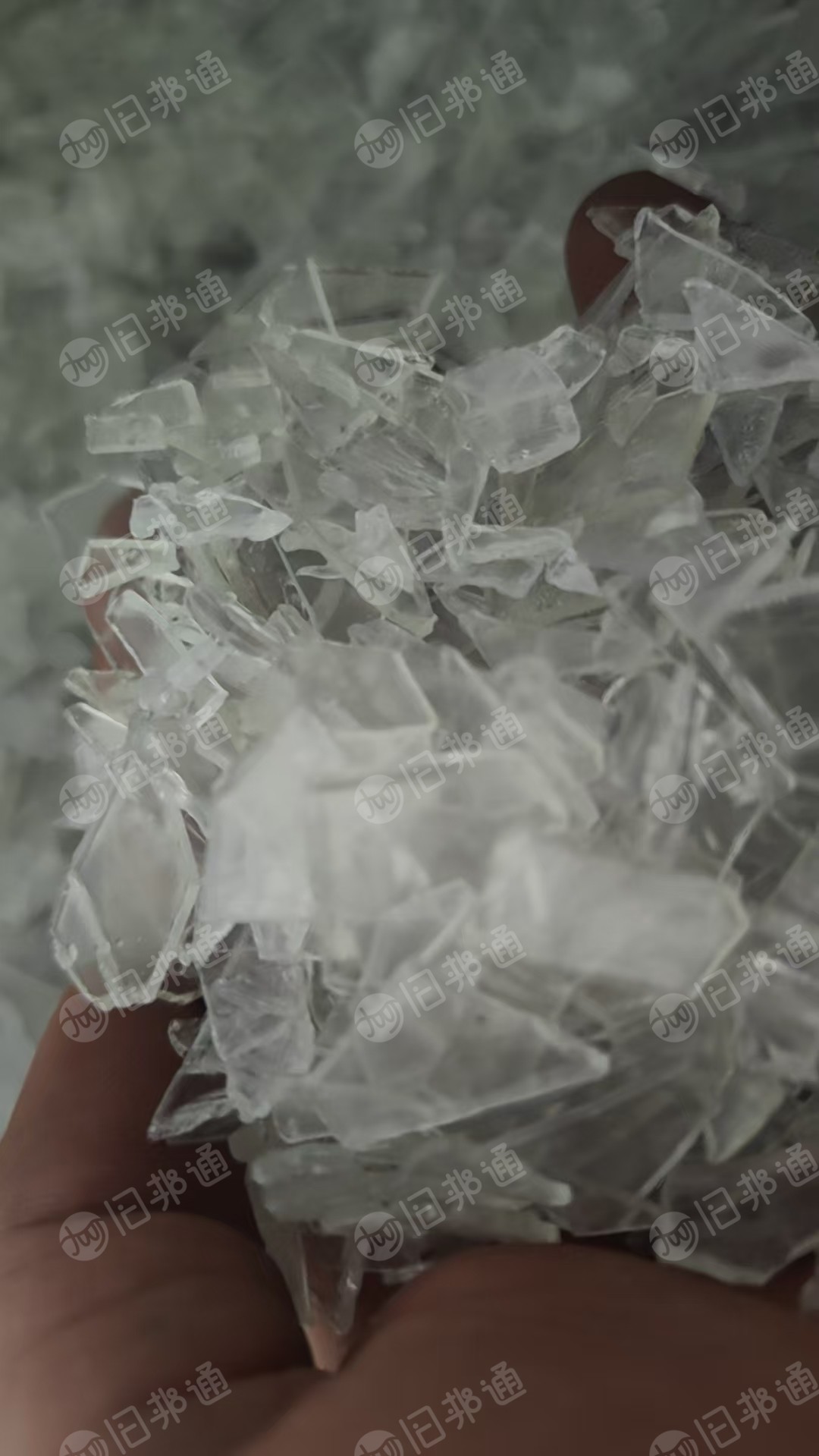 出售PC水口料,水桶破碎料,月供500吨