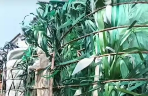 出售PET打包带废料