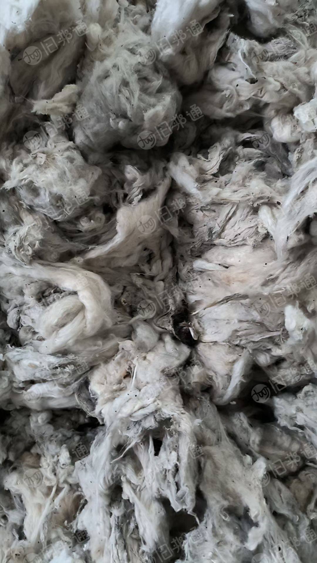 出售棉花,火烧棉,新疆的火烧皮棉,现货有80吨左右