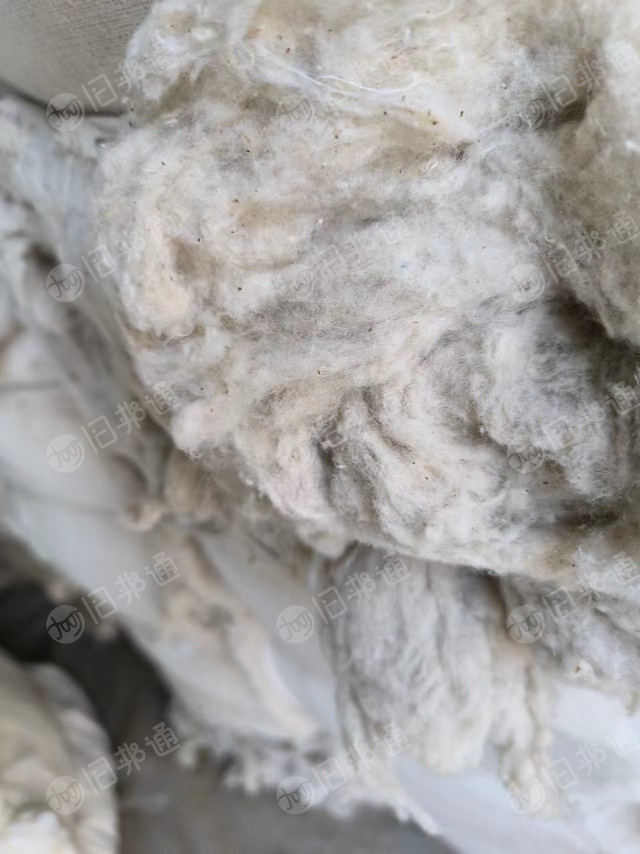 出售废棉,涤棉回收棉,现货有2吨左右
