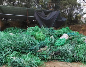 出售PET打包带，长期有货