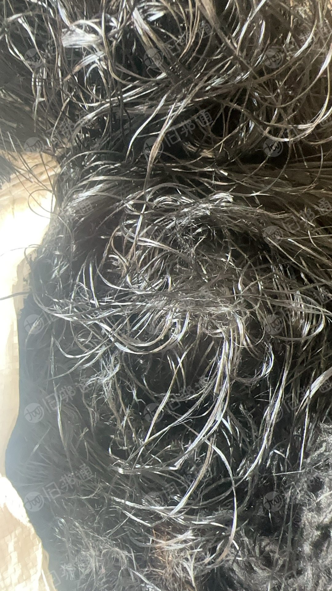 回收黑涤纶废丝