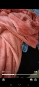 出售服装厂下脚料，拉丝料，各种材质废布，杂色，现货十几吨