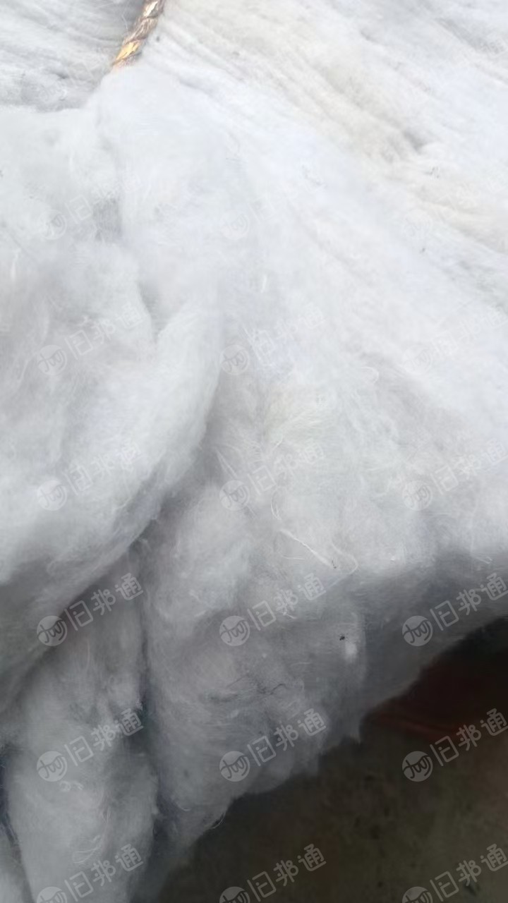 出售大白开花棉,再生棉,现货40吨