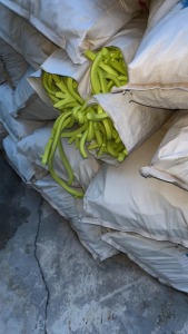 出售EVA发泡料，座椅边角料，现货几吨