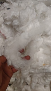 出售白色氨纶废丝，开花料，氨纶，现货十吨，长期有货