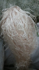 出售杂色涤纶废丝，涤纶废料，开花用，货在浙江杭州