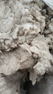 长期大量回收白色的纯棉短绒