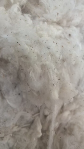 出售车肚，纯棉，纺40支，现货几十吨