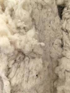 出售车肚，纺纱废料，80棉，20天丝，现货60吨