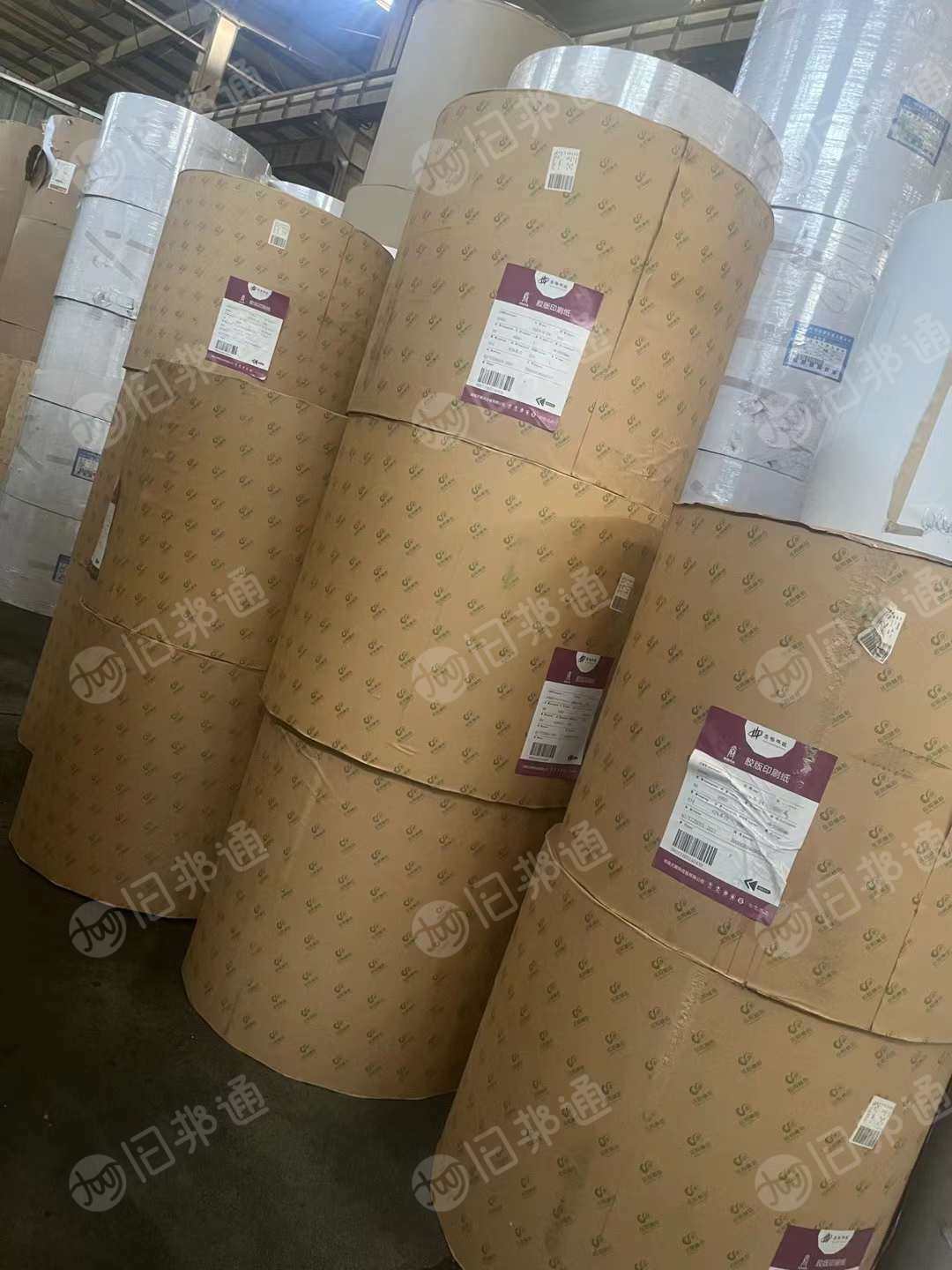 出售80G本白双胶纸，880卷