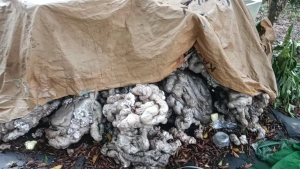 出售热熔块，现货5吨，海南万宁厂