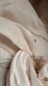 长期出售丝棉垫子拆下来的大白料，白色大布块，白色开花料