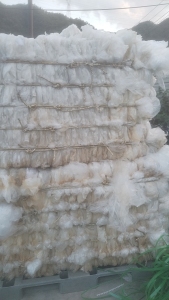 出售PE高压干造一级膜，水洗二级膜，PP膜