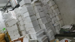 长期出售泡沫箱，现货4米2一车，月供有4车