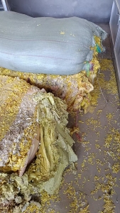 迷信纸厂大量收购迷信纸下脚料