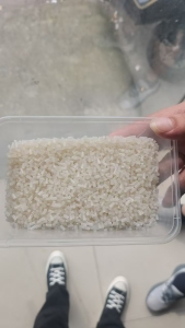 出售PP透明丙颗粒，可以拉扁丝