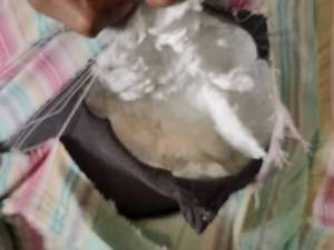 出售白色涤纶毛毛头，货在河南商丘