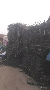 长期出售滴灌带毛料