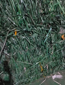 出售PET打包带废料