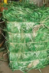 出售PET打包带废料