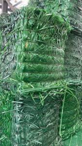 大量回收pet打包带