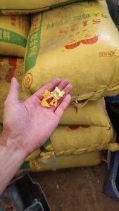 出售HDPE垃圾桶破碎料，现货二三十吨