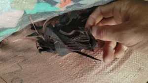 出售白烟布，锦纶布，尼龙布，货在山东枣庄