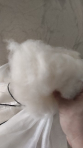 出售开松的山羊绒，白绒，100%纯羊绒，现货五吨，在河北保定