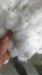 回收开松好的枕芯棉，丝绵，开松棉，做大棚被用