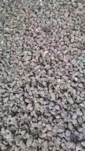 电厂长期回收燃烧棒，燃料棒，日需100吨，浙江省范围大量回收