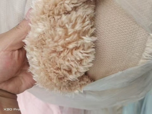 出售化纤pv绒布，门幅1.6米，克重180左右