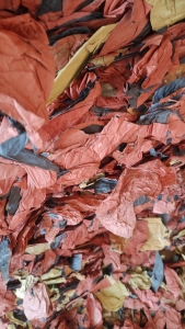 出售红黄果袋纸压包料