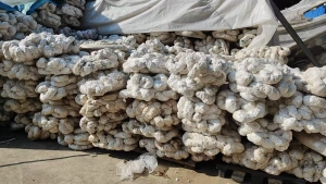 长期出售泡沫热熔块，现货50吨