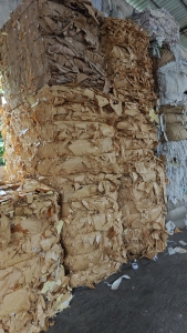 纸厂大量收购纯本色淋膜纸，本色统货，黄白淋膜纸