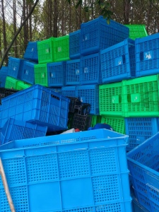 出售周转筐毛料，蓝色居多，现货10几吨，浙江台州