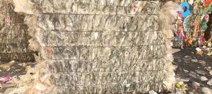 出售透明丙餐盒压块，现货20吨左右