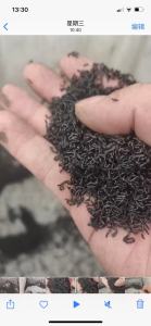 出售尼龙废料，单六、链条牙齿，月供20吨左右