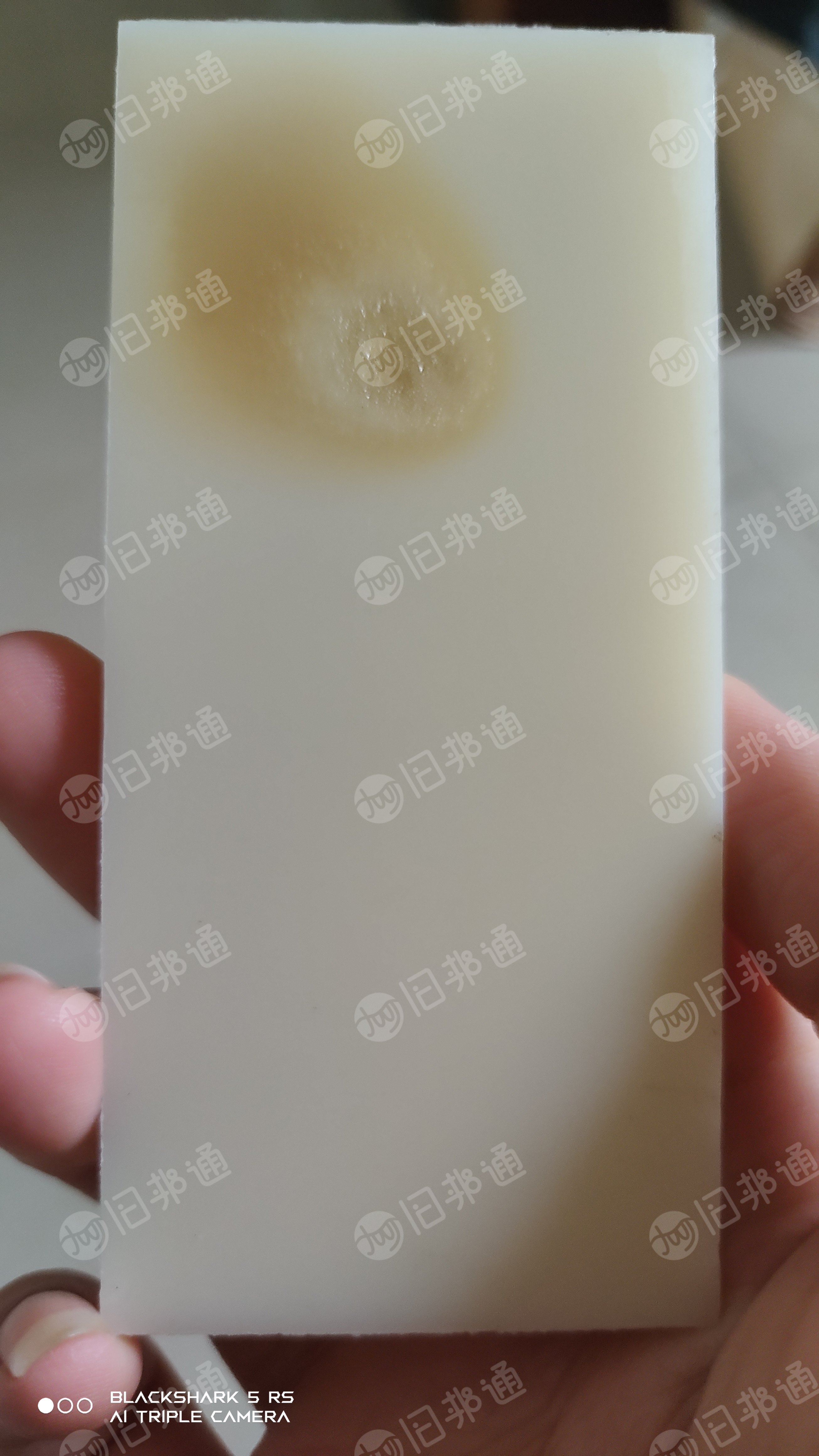长期供应本色ABS刨丝,板材边角料破碎