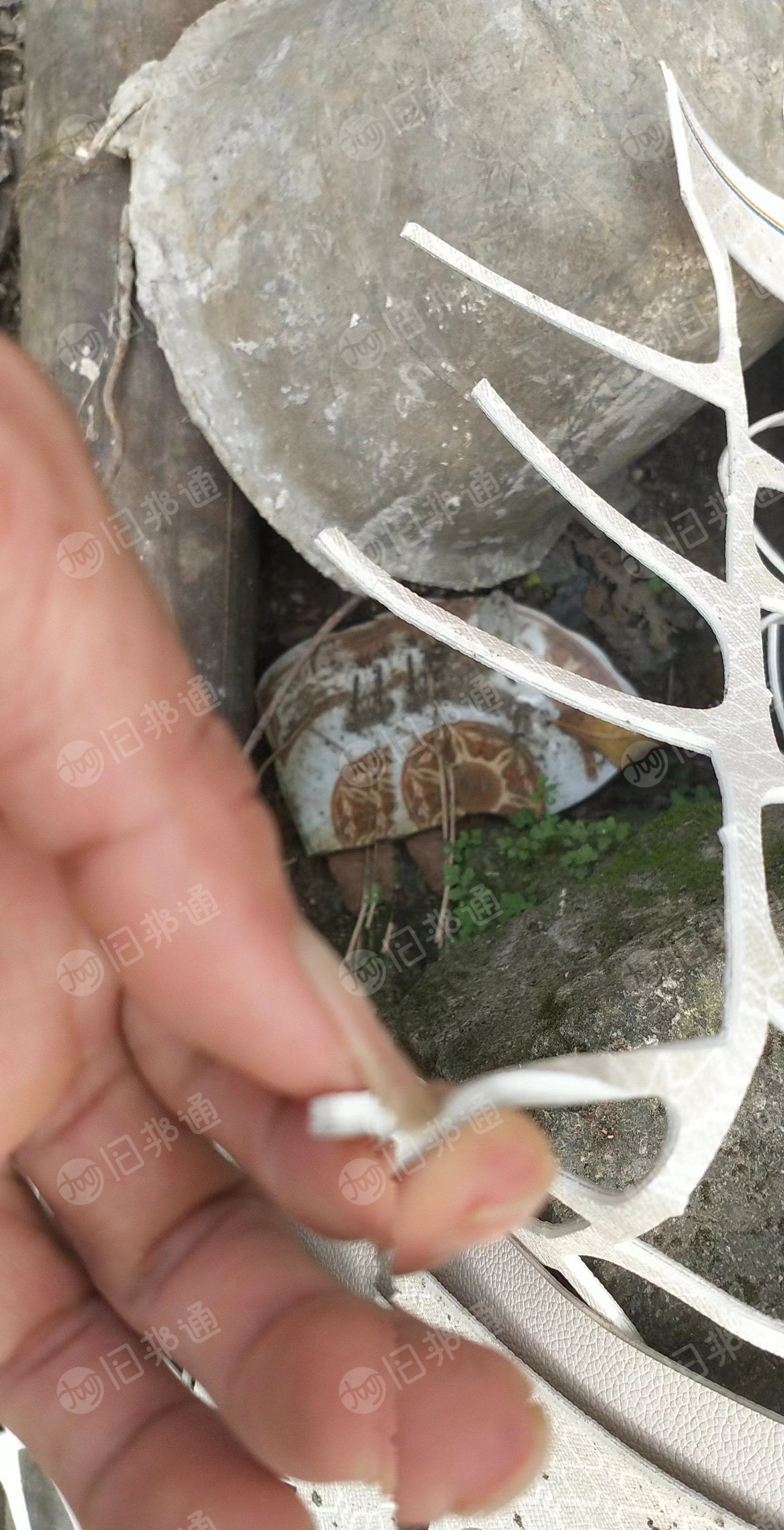 长期出售汽车座椅人造革,pu人造革边角料,pvc人造革都有,月供10吨左右