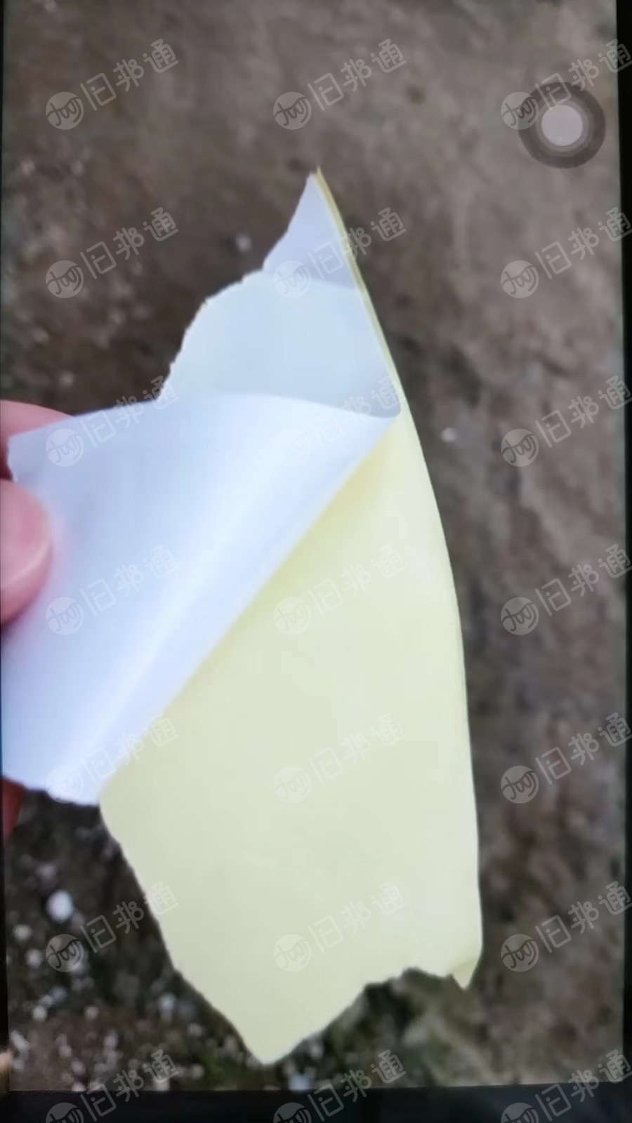 长期出售黄白底的不干胶纸