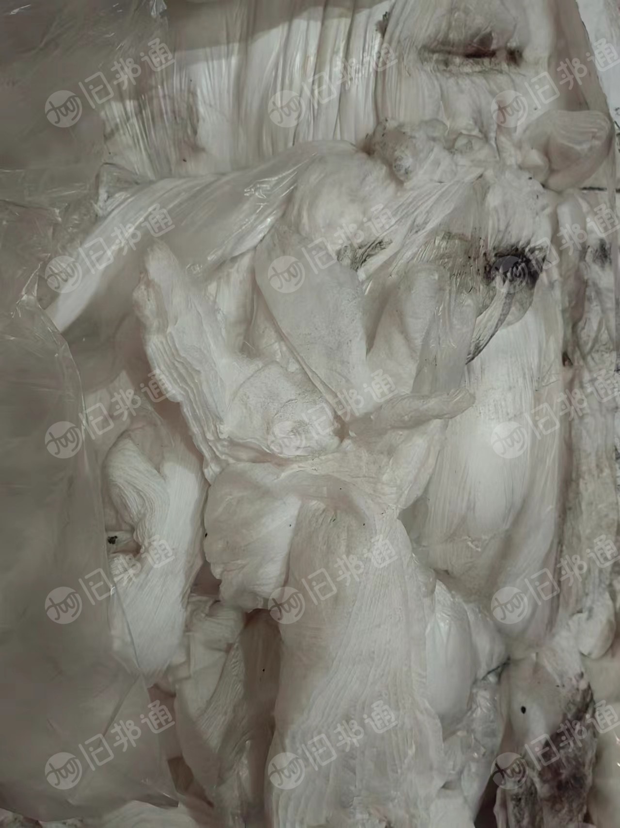 长期大量出售白色吸音棉,白色双组分子棉,汽车内饰隔音棉