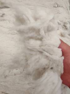 出售脱脂棉，月供100吨