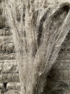 出售亚麻原料，法国麻，专纺21s用，现货有一个柜，货在江苏张家港