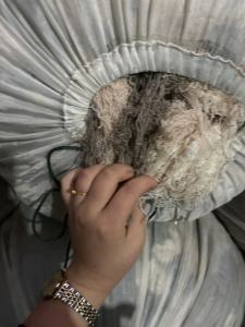 出售羊绒下脚料，羊毛料，含毛量40%左右，货在河北清河