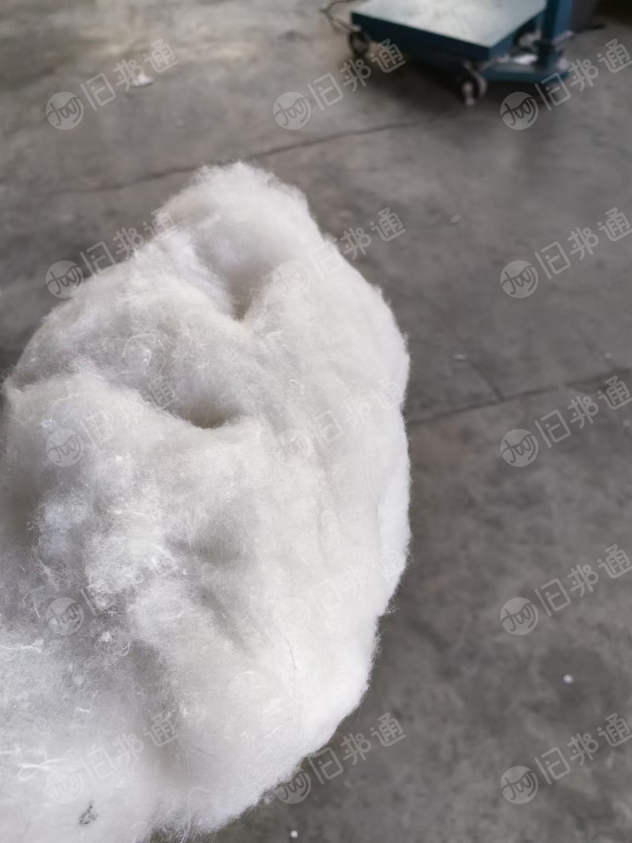 长期出售旧衣服大白棉,漂白棉,开松棉,货在山东枣庄