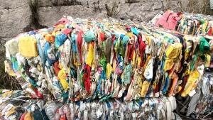 出售花乙压块，小白乙压块、大白乙压块，福建宁德厂