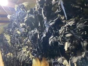 长期大量出售西装废布，精纺碎布，纺织厂下来的软回丝