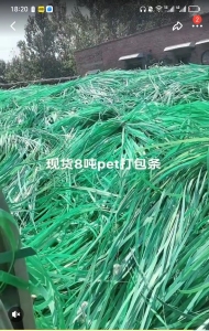 长期出售绿色pet打包带，月供10吨左右