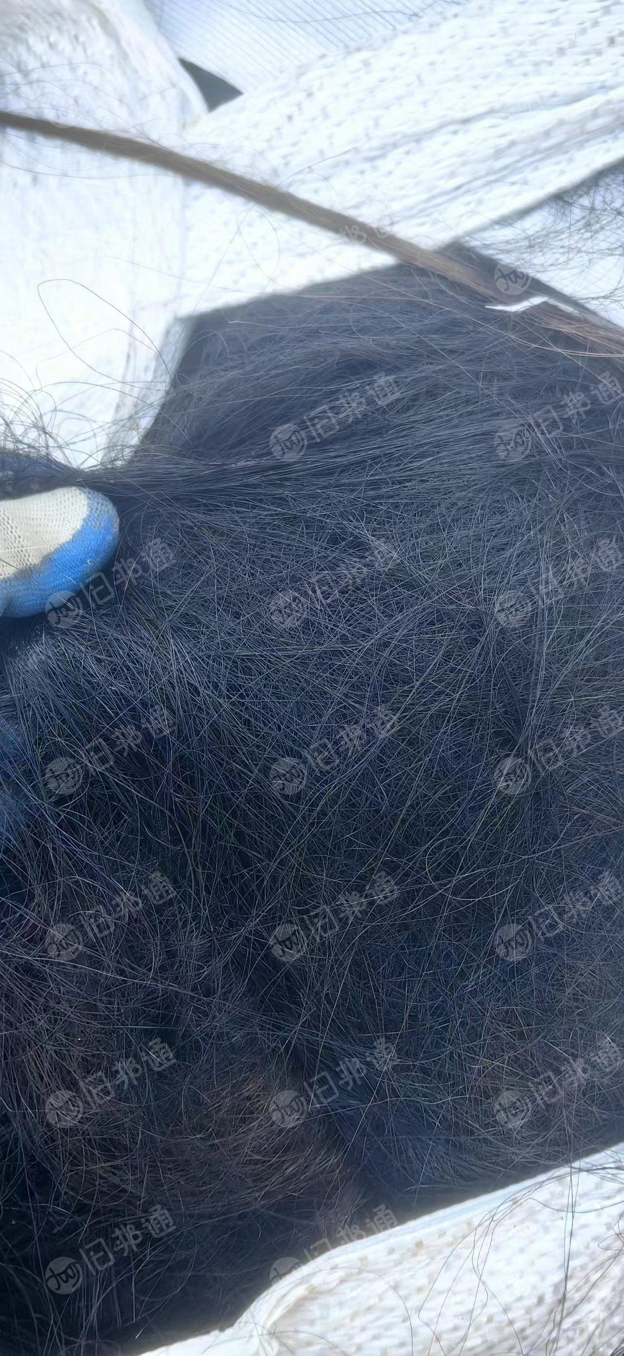 出售pet复合pbt黑色废丝,长期大量出售